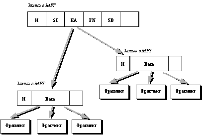 MFT NTFS