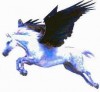 Pegasus Mail