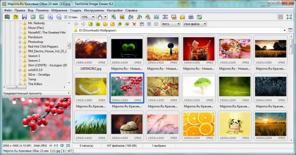 Интерфейс FastStone Image Viewer
