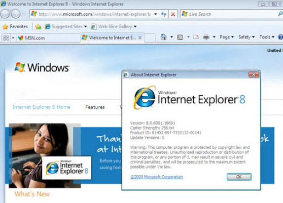 окно программы Internet Explorer